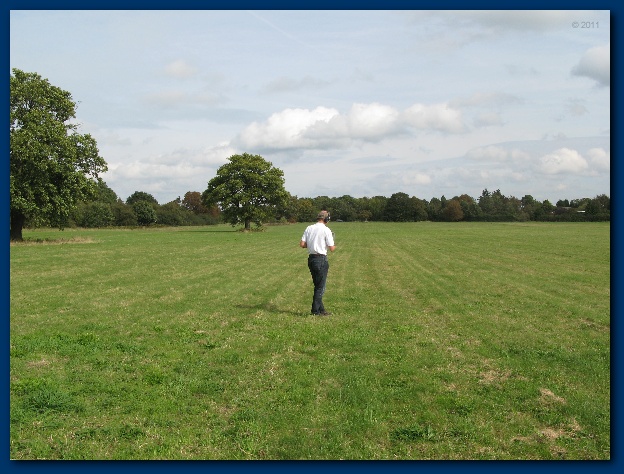 600x449 pixels (133K)